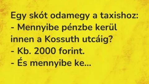 Vicc: Egy skót odamegy a taxishoz:

– Mennyibe pénzbe kerül innen a…