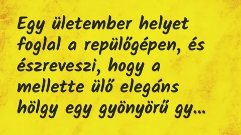 Vicc: Egy ületember helyet foglal a repülőgépen, és észreveszi, hogy a…