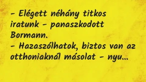 Vicc: – Elégett néhány titkos iratunk – panaszkodott Bormann.

-…