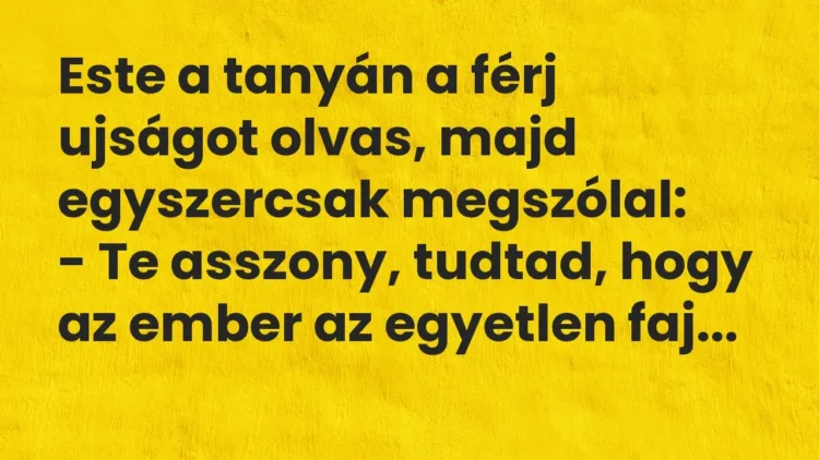 Vicc: Este a tanyán a férj ujságot olvas, majd egyszercsak megszólal:
-… Vicc: Este a tanyán a férj ujságot olvas, majd egyszercsak megszólal:
-…