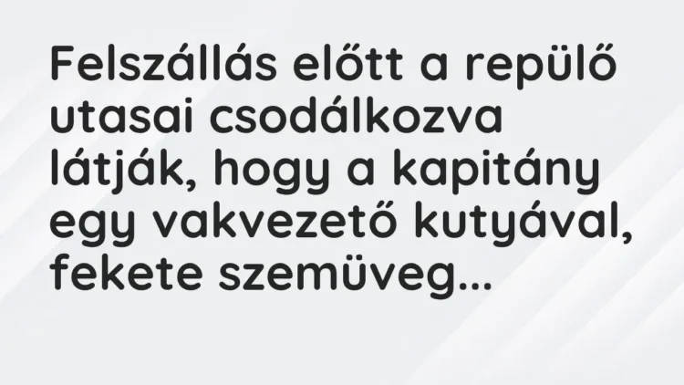 Vicc: Felszállás előtt a repülő utasai csodálkozva látják, hogy a kapitány… Vicc: Felszállás előtt a repülő utasai csodálkozva látják, hogy a kapitány…
