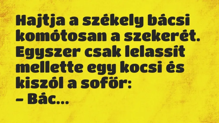 Vicc: Hajtja a székely bácsi komótosan a szekerét. Egyszer csak lelassít…