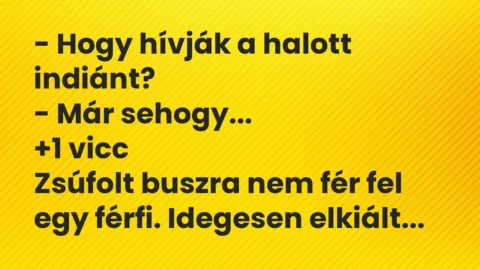 Vicc: – Hogy hívják a halott indiánt?
– Már sehogy… Vicc: – Hogy hívják a halott indiánt?
– Már sehogy…