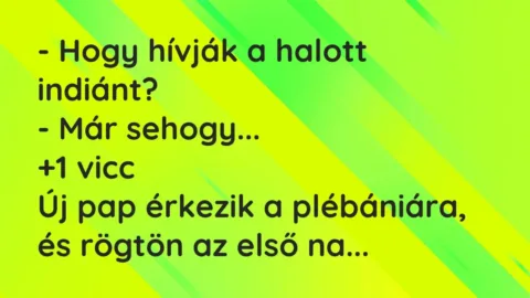 Vicc: – Hogy hívják a halott indiánt?

– Már sehogy…