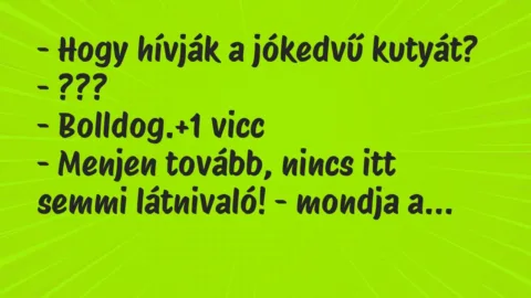 Vicc: – Hogy hívják a jókedvű kutyát?
– ???
– Bolldog. Vicc: – Hogy hívják a jókedvű kutyát?
– ???
– Bolldog.