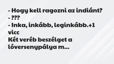 Vicc: – Hogy kell ragozni az indiánt?

– ???

– Inka, inkább,…