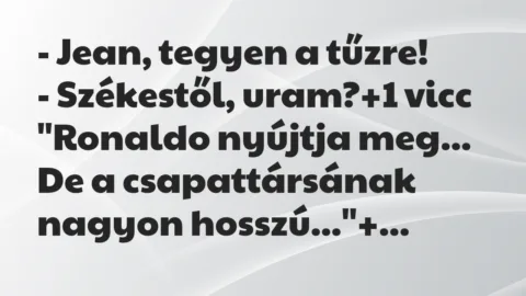 Vicc: – Jean, tegyen a tűzre!

– Székestől, uram?