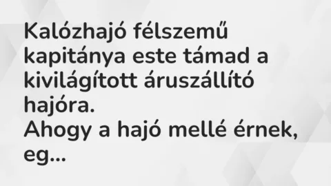 Vicc: Kalózhajó félszemű kapitánya este támad a kivilágított áruszállító… Vicc: Kalózhajó félszemű kapitánya este támad a kivilágított áruszállító…