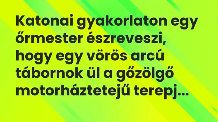 Vicc: Katonai gyakorlaton egy őrmester észreveszi, hogy egy vörös arcú… Vicc: Katonai gyakorlaton egy őrmester észreveszi, hogy egy vörös arcú…
