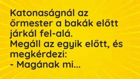 Vicc: Katonaságnál az őrmester a bakák előtt járkál fel-alá.

Megáll az…
