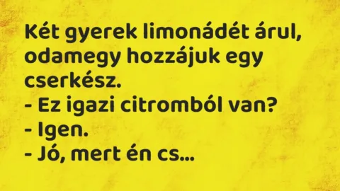 Vicc: Két gyerek limonádét árul, odamegy hozzájuk egy cserkész.

– Ez…
