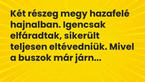 Vicc: Két részeg megy hazafelé hajnalban. Igencsak elfáradtak, sikerült…