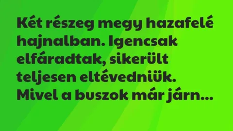 Vicc: Két részeg megy hazafelé hajnalban. Igencsak elfáradtak, sikerült… Vicc: Két részeg megy hazafelé hajnalban. Igencsak elfáradtak, sikerült…