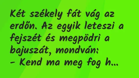 Vicc: Két székely fát vág az erdőn. Az egyik leteszi a fejszét és megpödri a…