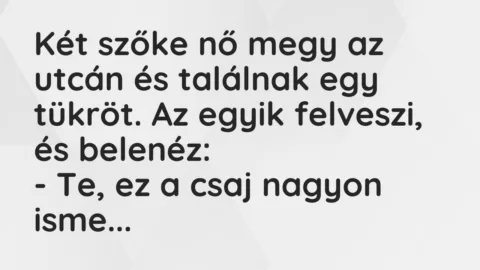 Vicc: Két szőke nő megy az utcán és találnak egy tükröt. Az egyik felveszi,…