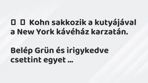Vicc: 
	    	    Kohn sakkozik a kutyájával a New York kávéház…