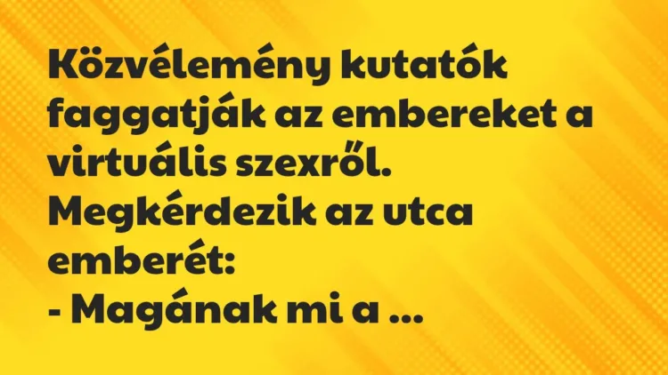 Vicc: Közvélemény kutatók faggatják az embereket a virtuális… Vicc: Közvélemény kutatók faggatják az embereket a virtuális…