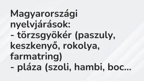 Vicc: Magyarországi nyelvjárások:

– törzsgyökér (paszuly, keszkenyő,…