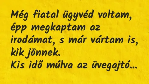 Vicc: Még fiatal ügyvéd voltam, épp megkaptam az irodámat, s már vártam is,… Vicc: Még fiatal ügyvéd voltam, épp megkaptam az irodámat, s már vártam is,…