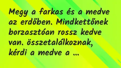 Vicc: Megy a farkas és a medve az erdőben. Mindkettőnek borzasztóan rossz… Vicc: Megy a farkas és a medve az erdőben. Mindkettőnek borzasztóan rossz…