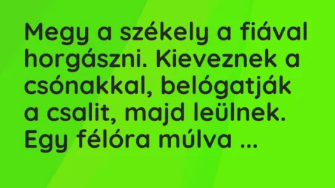 Vicc: Megy a székely a fiával horgászni. Kieveznek a csónakkal, belógatják a…