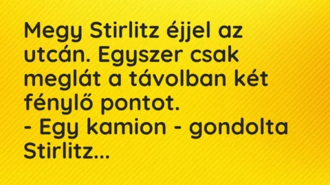 Vicc: Megy Stirlitz éjjel az utcán. Egyszer csak meglát a távolban két…