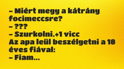Vicc: – Miért megy a kátrány focimeccsre?

– ???

– Szurkolni.