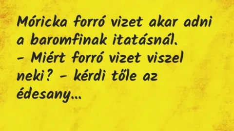 Vicc: Móricka forró vizet akar adni a baromfinak itatásnál.
– Miért… Vicc: Móricka forró vizet akar adni a baromfinak itatásnál.
– Miért…