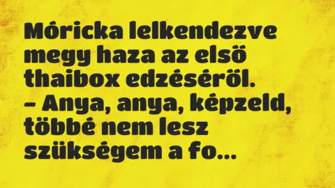 Vicc: Móricka lelkendezve megy haza az első thaibox edzéséről.
– Anya,… Vicc: Móricka lelkendezve megy haza az első thaibox edzéséről.
– Anya,…