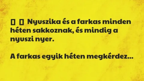 Vicc: 
	    	    Nyuszika és a farkas minden héten sakkoznak, és mindig a…