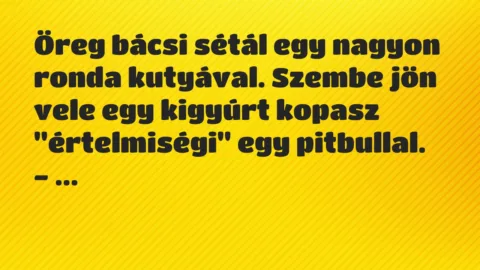 Vicc: Öreg bácsi sétál egy nagyon ronda kutyával. Szembe jön vele egy…