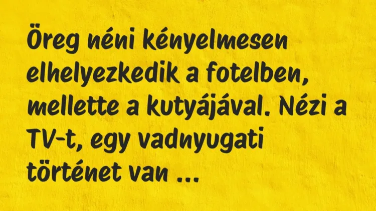Vicc: Öreg néni kényelmesen elhelyezkedik a fotelben, mellette a kutyájával…. Vicc: Öreg néni kényelmesen elhelyezkedik a fotelben, mellette a kutyájával….