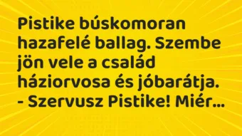 Vicc: Pistike búskomoran hazafelé ballag. Szembe jön vele a család…