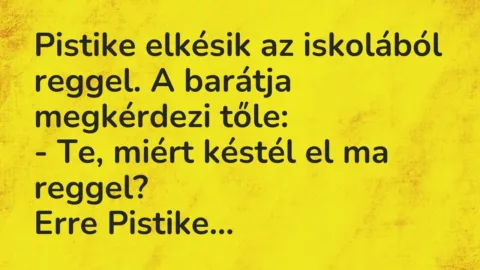 Vicc: Pistike elkésik az iskolából reggel. A barátja megkérdezi tőle:

-…