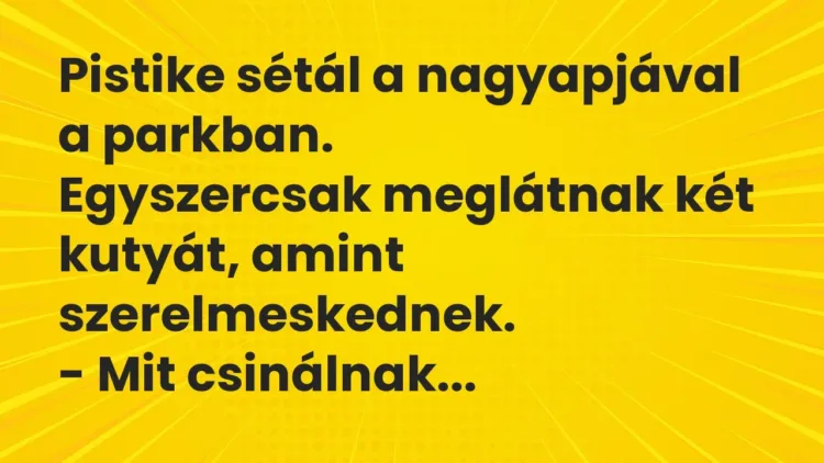 Vicc: Pistike sétál a nagyapjával a parkban.
Egyszercsak meglátnak két… Vicc: Pistike sétál a nagyapjával a parkban.
Egyszercsak meglátnak két…