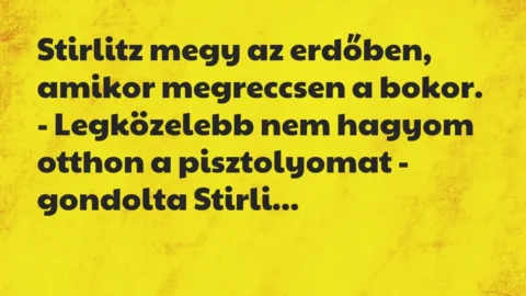 Vicc: Stirlitz megy az erdőben, amikor megreccsen a bokor.
-… Vicc: Stirlitz megy az erdőben, amikor megreccsen a bokor.
-…
