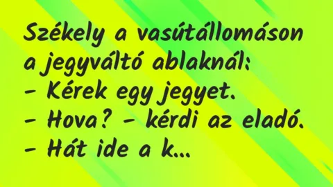 Vicc: Székely a vasútállomáson a jegyváltó ablaknál:
– Kérek egy… Vicc: Székely a vasútállomáson a jegyváltó ablaknál:
– Kérek egy…