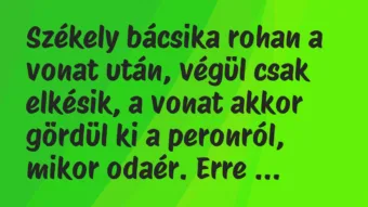 Vicc: Székely bácsika rohan a vonat után, végül csak elkésik, a vonat akkor…