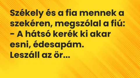 Vicc: Székely és a fia mennek a szekéren, megszólal a fiú:

– A hátsó…