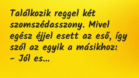 Vicc: Találkozik reggel két szomszédasszony. Mivel egész éjjel esett az eső,…