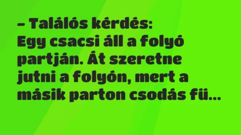 Vicc: – Találós kérdés:

Egy csacsi áll a folyó partján. Át szeretne jut…