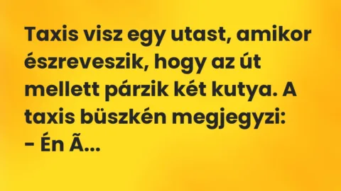 Vicc: Taxis visz egy utast, amikor észreveszik, hogy az út mellett párzik… Vicc: Taxis visz egy utast, amikor észreveszik, hogy az út mellett párzik…
