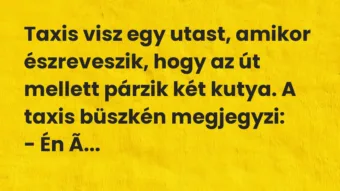 Vicc: Taxis visz egy utast, amikor észreveszik, hogy az út mellett párzik… Vicc: Taxis visz egy utast, amikor észreveszik, hogy az út mellett párzik…