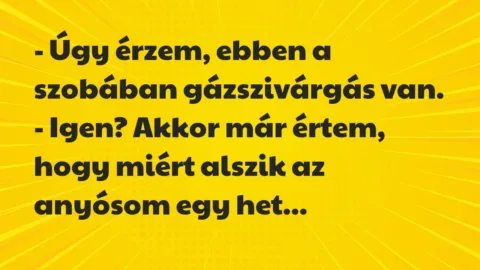 Vicc: – Úgy érzem, ebben a szobában gázszivárgás van.

– Igen? Akkor már…