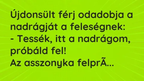 Vicc: Újdonsült férj odadobja a nadrágját a feleségnek:

– Tessék, itt a…