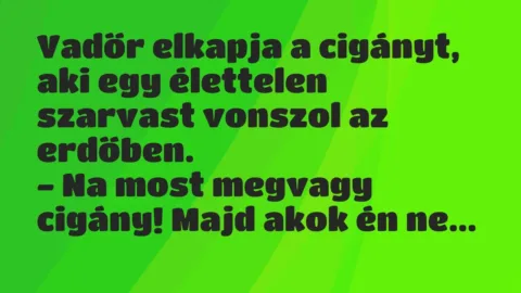 Vicc: Vadőr elkapja a cigányt, aki egy élettelen szarvast vonszol az… Vicc: Vadőr elkapja a cigányt, aki egy élettelen szarvast vonszol az…