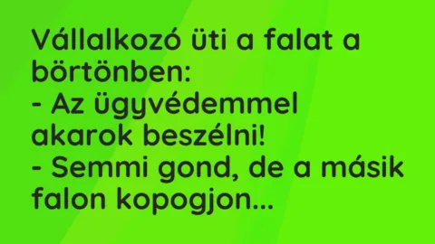 Vicc: Vállalkozó üti a falat a börtönben:

– Az ügyvédemmel akarok…