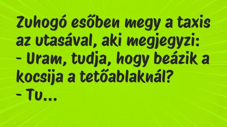 Vicc: Zuhogó esőben megy a taxis az utasával, aki megjegyzi:
– Uram,… Vicc: Zuhogó esőben megy a taxis az utasával, aki megjegyzi:
– Uram,…