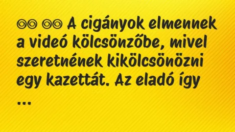 Viccek: 
		  
		  A cigányok elmennek a videó kölcsönzőbe, mivel…