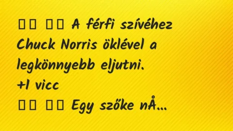 Viccek: 
		  
		  A férfi szívéhez Chuck Norris öklével a…